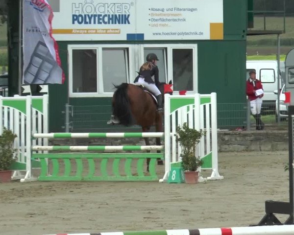 Bad Rothenfelder Reitertage 2015