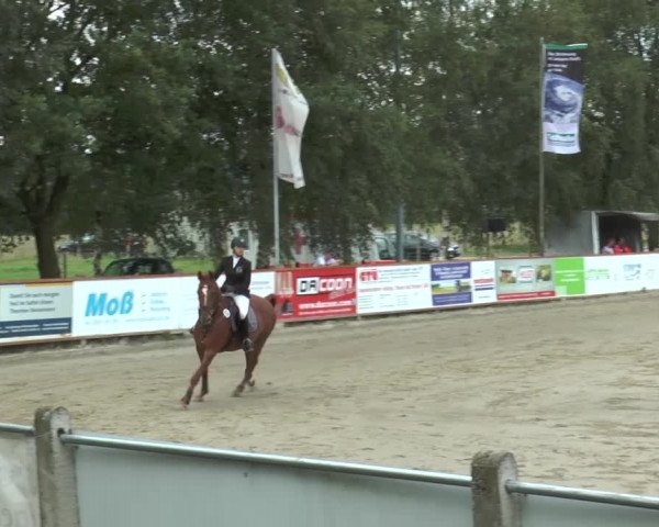 Bad Rothenfelder Reitertage 2015