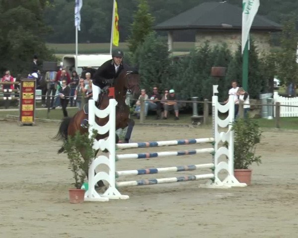 Bad Rothenfelder Reitertage 2015
