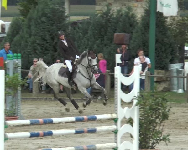 Bad Rothenfelder Reitertage 2015