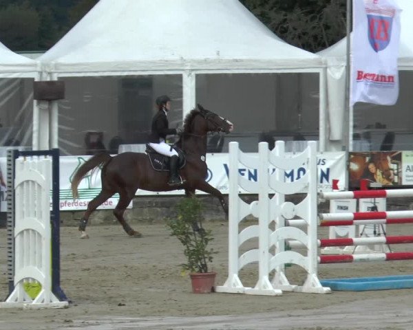 Bad Rothenfelder Reitertage 2015