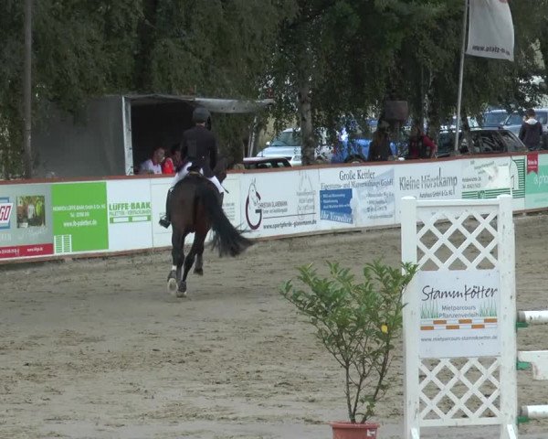Bad Rothenfelder Reitertage 2015