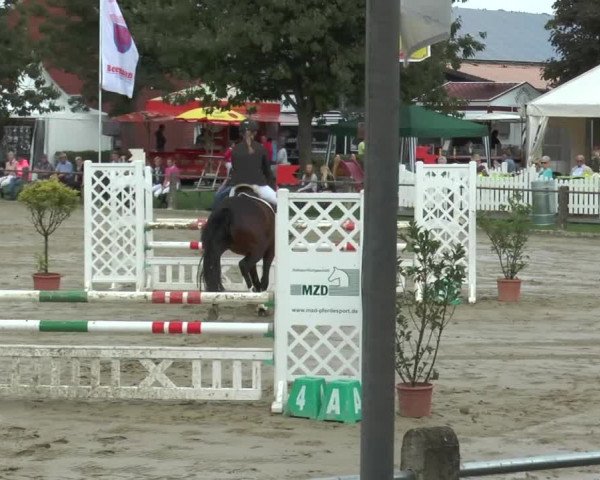 Bad Rothenfelder Reitertage 2015