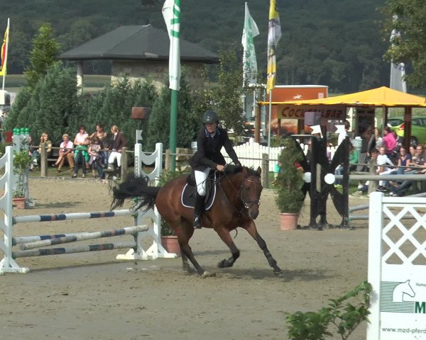 Bad Rothenfelder Reitertage 2015
