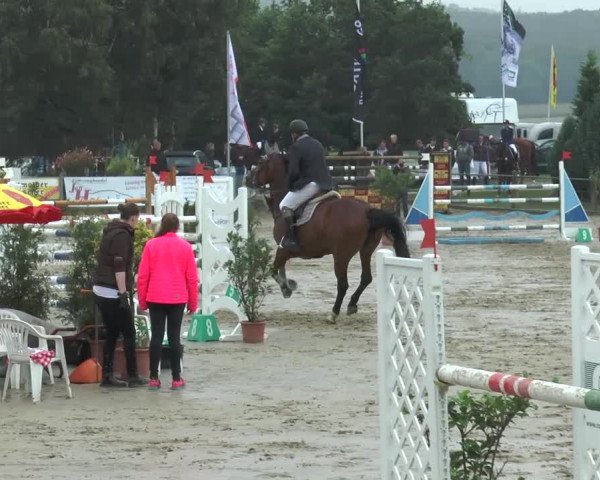 Bad Rothenfelder Reitertage 2015