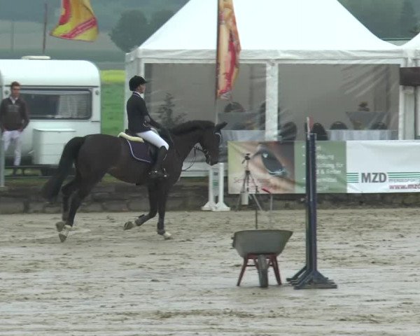 Bad Rothenfelder Reitertage 2015