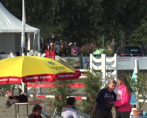 Bad Rothenfelder Reitertage 2015