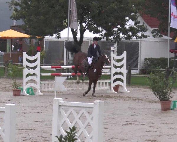 Bad Rothenfelder Reitertage 2015