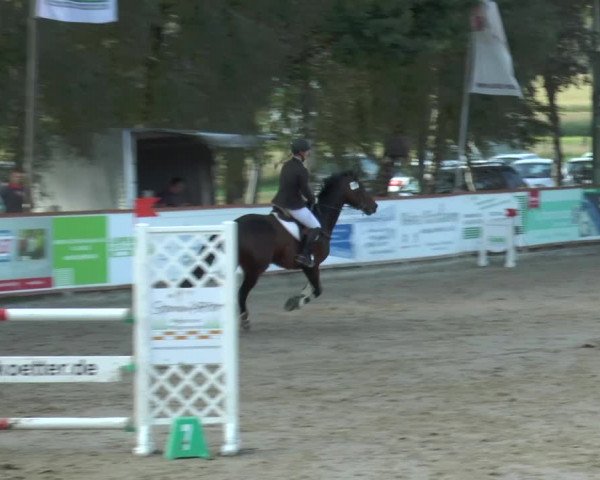 Bad Rothenfelder Reitertage 2015