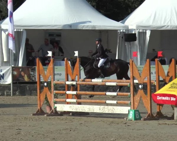 Bad Rothenfelder Reitertage 2015