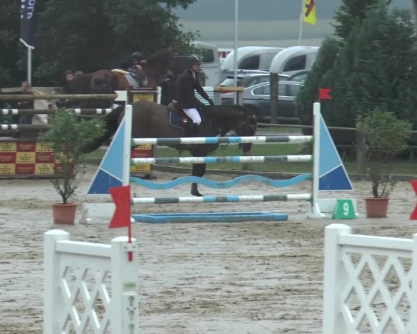 Bad Rothenfelder Reitertage 2015