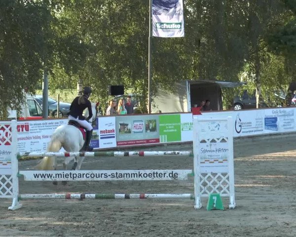 Bad Rothenfelder Reitertage 2015