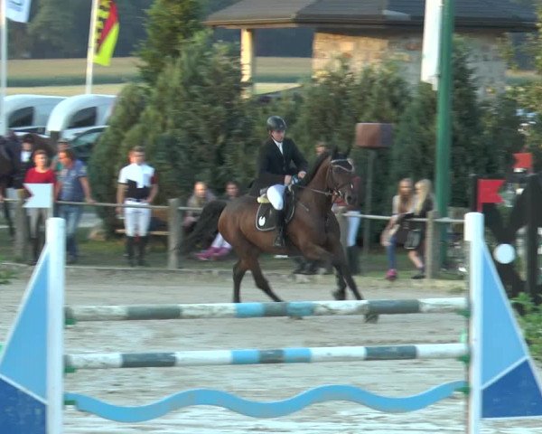 Bad Rothenfelder Reitertage 2015