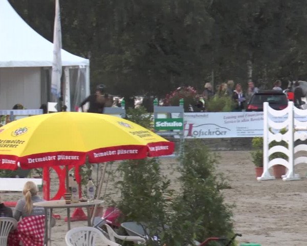 Bad Rothenfelder Reitertage 2015