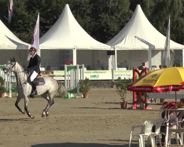 Bad Rothenfelder Reitertage 2015