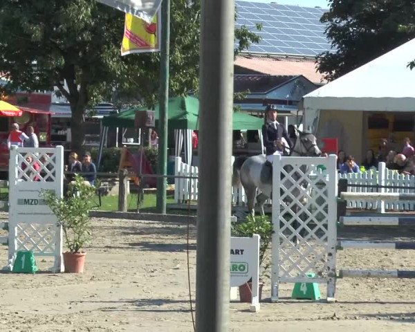 Bad Rothenfelder Reitertage 2015