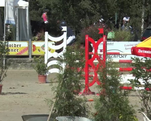Bad Rothenfelder Reitertage 2015