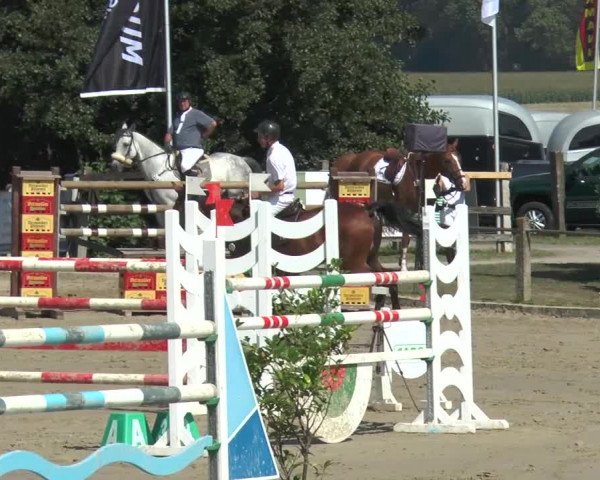 Bad Rothenfelder Reitertage 2015