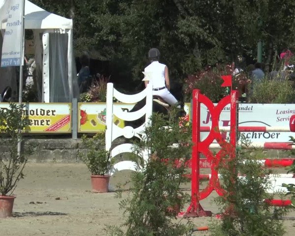 Bad Rothenfelder Reitertage 2015