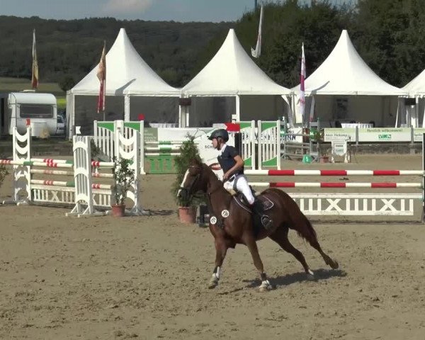Bad Rothenfelder Reitertage 2015