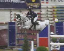 stallion FH Nightcapitol (German Riding Pony, 2004, from Nightfire)