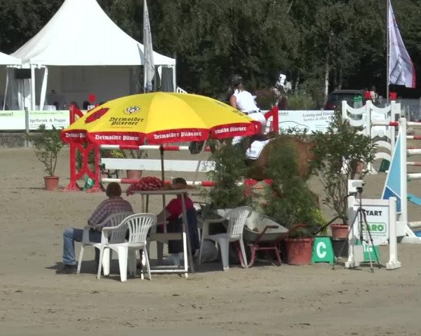Bad Rothenfelder Reitertage 2015