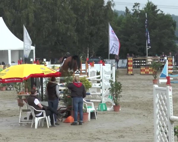 Bad Rothenfelder Reitertage 2015