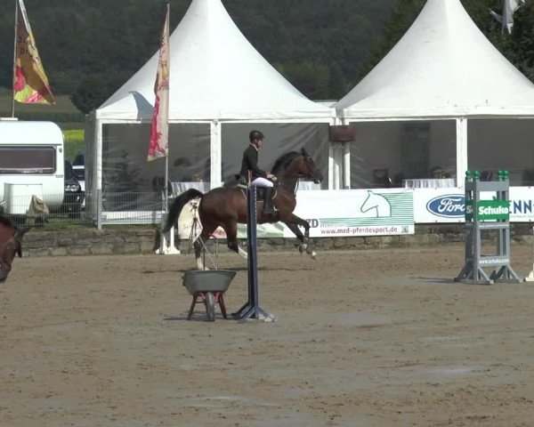 Bad Rothenfelder Reitertage 2015