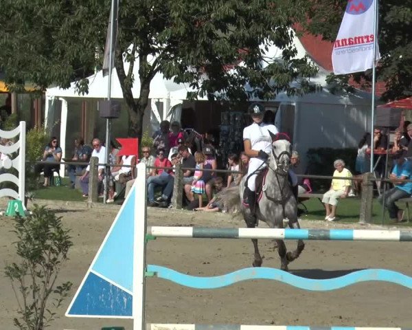 Bad Rothenfelder Reitertage 2015