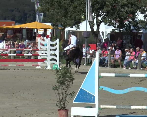 Bad Rothenfelder Reitertage 2015