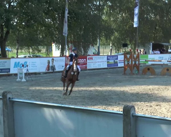 Bad Rothenfelder Reitertage 2015