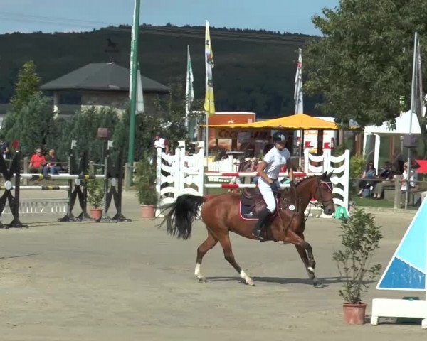 Bad Rothenfelder Reitertage 2015