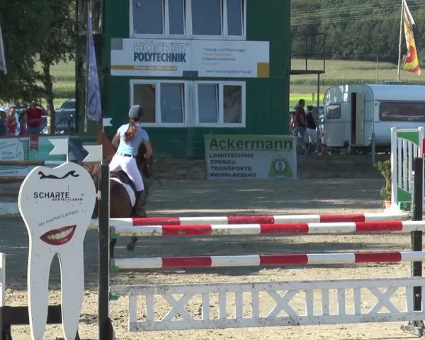 Bad Rothenfelder Reitertage 2015