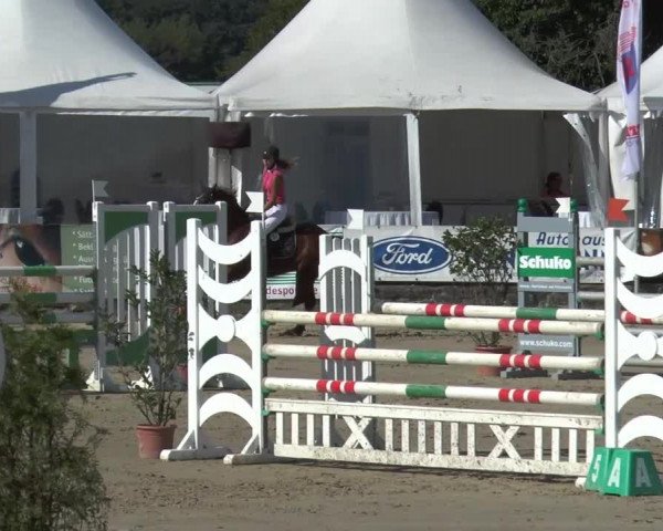 Bad Rothenfelder Reitertage 2015