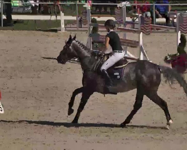 Reitturnier Waldachtal-Heiligenbronn 2015