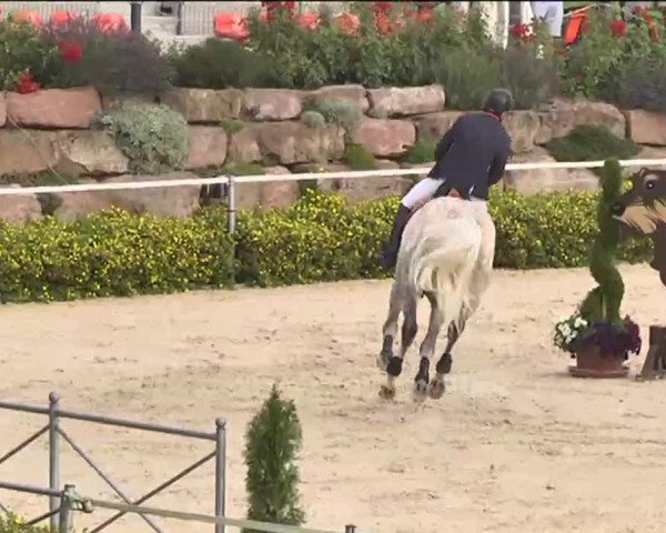 Reitturnier Waldachtal-Heiligenbronn 2015
