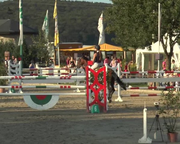 Bad Rothenfelder Reitertage 2015