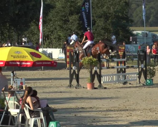 Bad Rothenfelder Reitertage 2015
