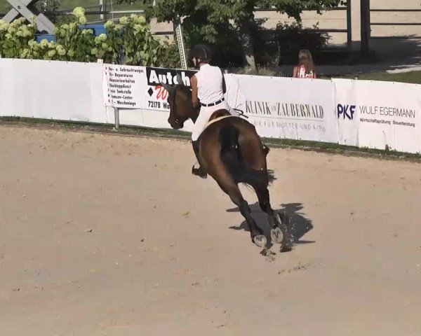 Reitturnier Waldachtal-Heiligenbronn 2015