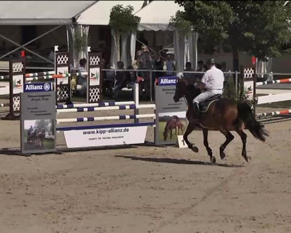 Reitturnier Waldachtal-Heiligenbronn 2015