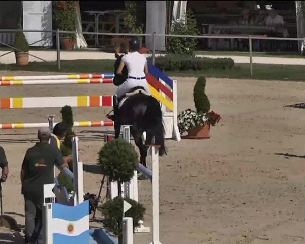 Reitturnier Waldachtal-Heiligenbronn 2015