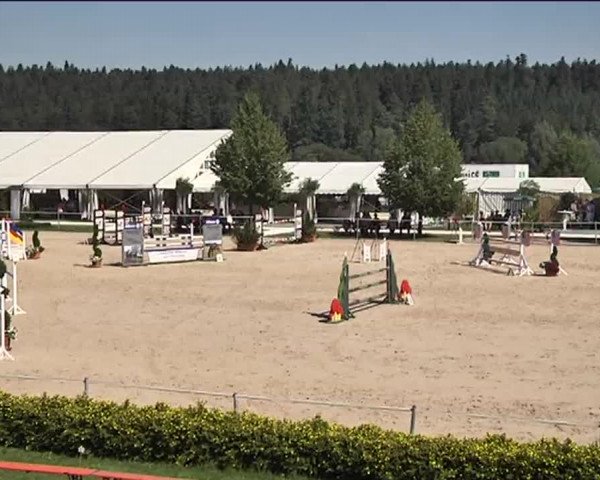 Reitturnier Waldachtal-Heiligenbronn 2015