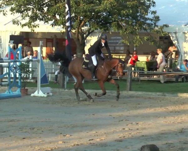 Bad Rothenfelder Reitertage 2015