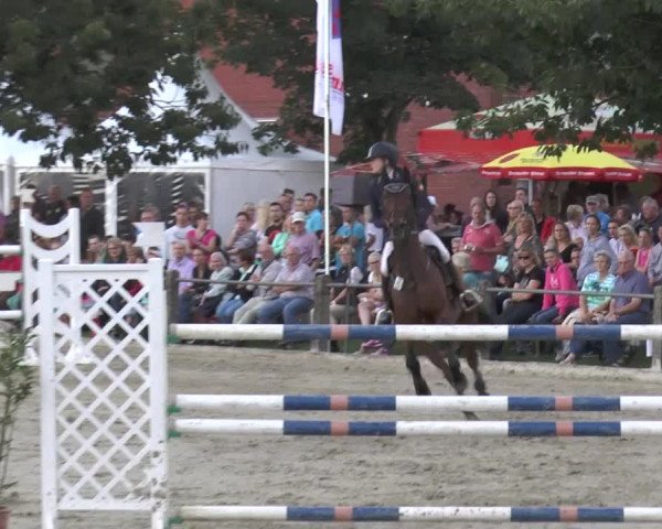 Bad Rothenfelder Reitertage 2015