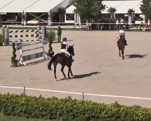 Reitturnier Waldachtal-Heiligenbronn 2015