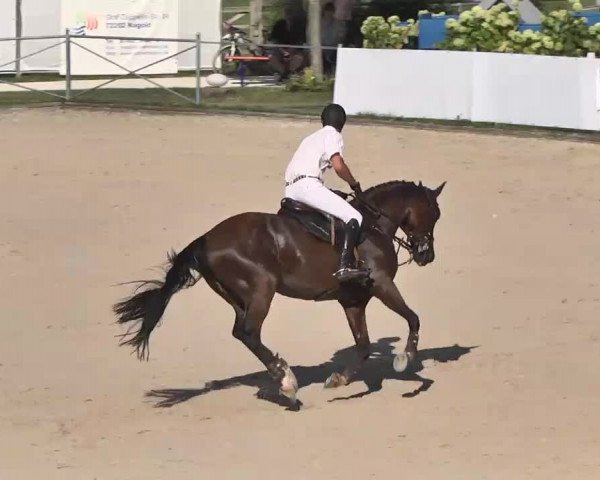 Reitturnier Waldachtal-Heiligenbronn 2015