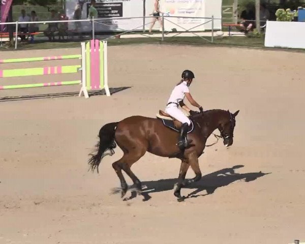 Reitturnier Waldachtal-Heiligenbronn 2015