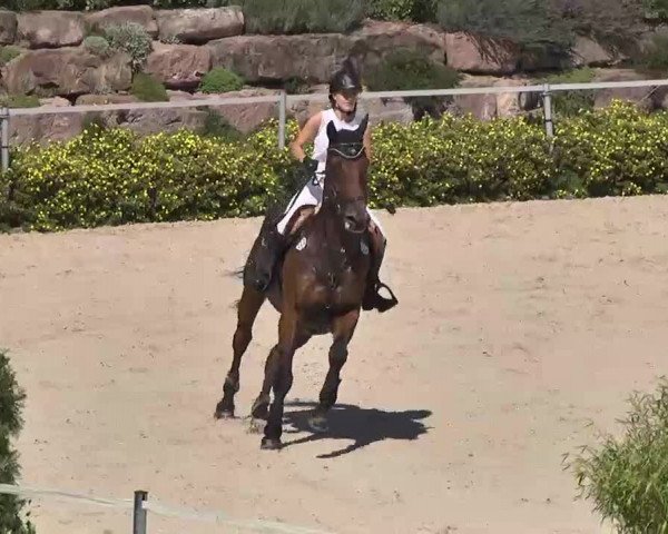 Reitturnier Waldachtal-Heiligenbronn 2015