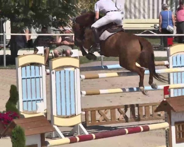 Reitturnier Waldachtal-Heiligenbronn 2015