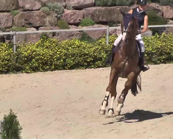 Reitturnier Waldachtal-Heiligenbronn 2015